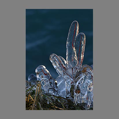 Lac Léman sous la glace - Photo Christophe Bourreau