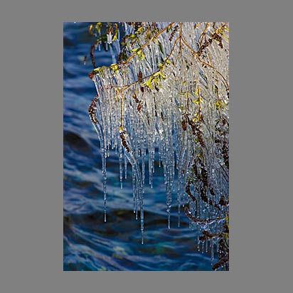 Lac Léman sous la glace - Photo Christophe Bourreau