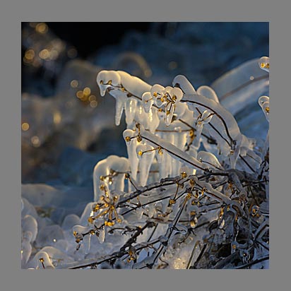 Lac Léman sous la glace - Photo Christophe Bourreau