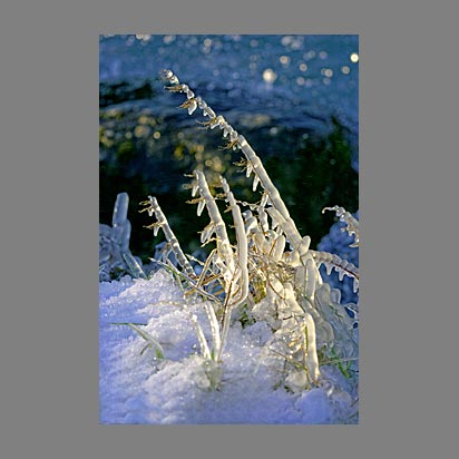 Lac Léman sous la glace - Photo Christophe Bourreau