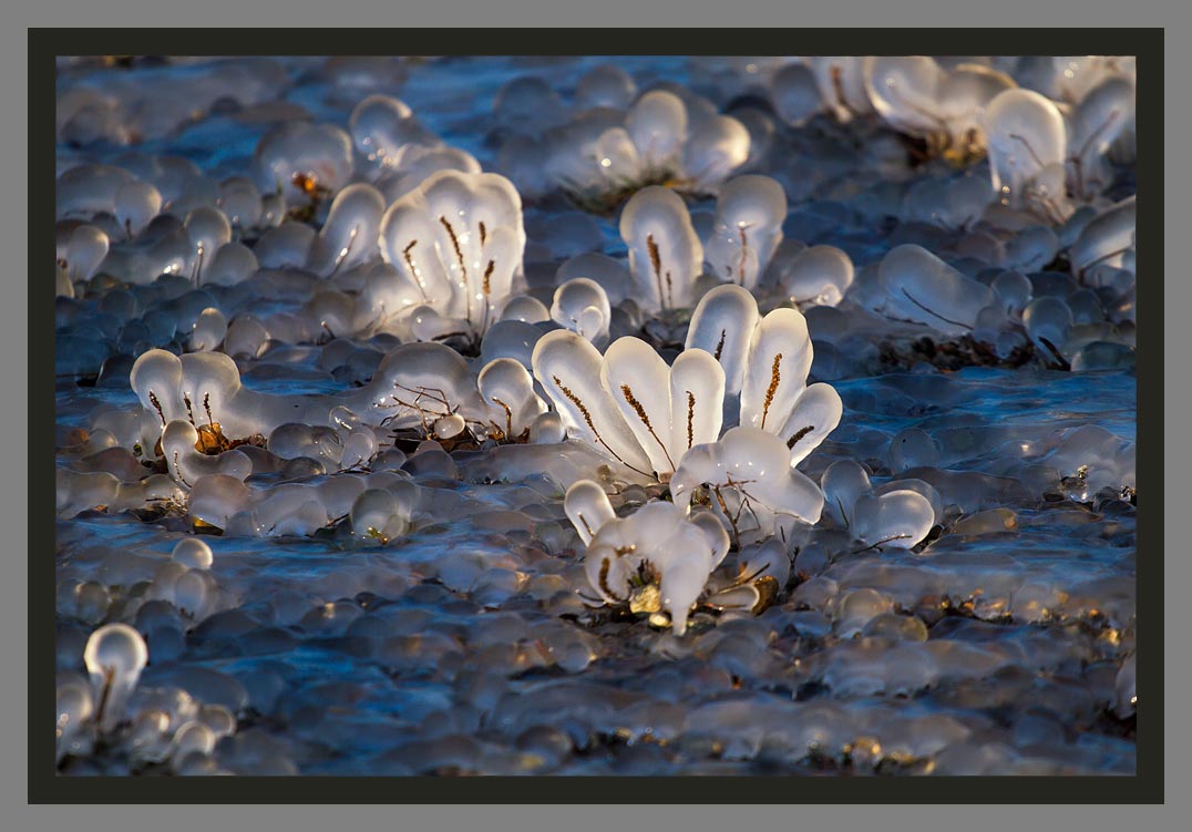 Lac Léman gelé : les plus belles photos de glace du Lac Léman par Christophe Bourreau