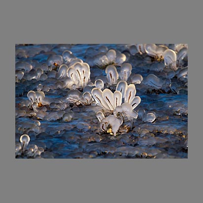Sculpture de glace Lac Léman gelé  - Photo Christophe Bourreau