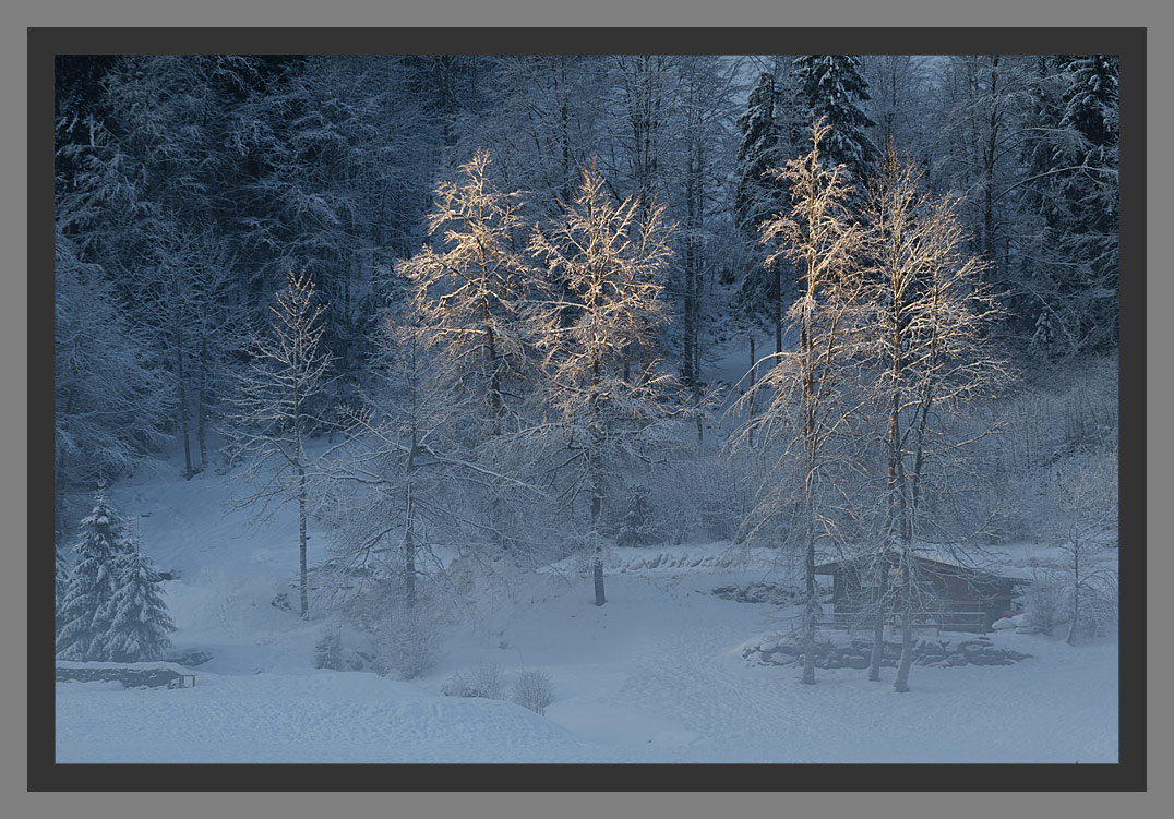 Lac de Montriond en hiver, les plus belles photos du photographes Christophe Bourreau