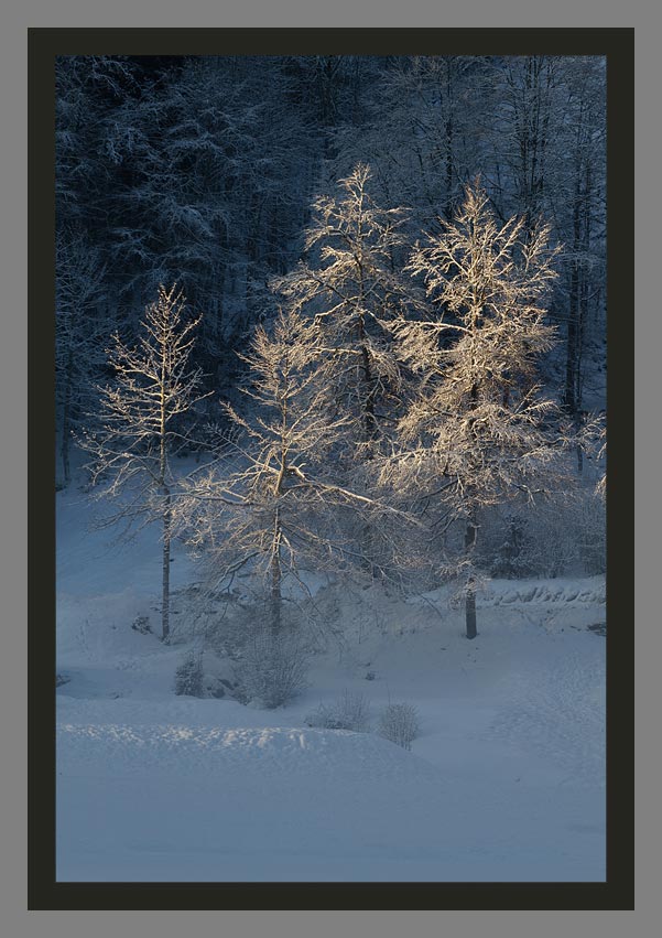 Lac de Montriond en hiver, les plus belles photos du photographes Christophe Bourreau