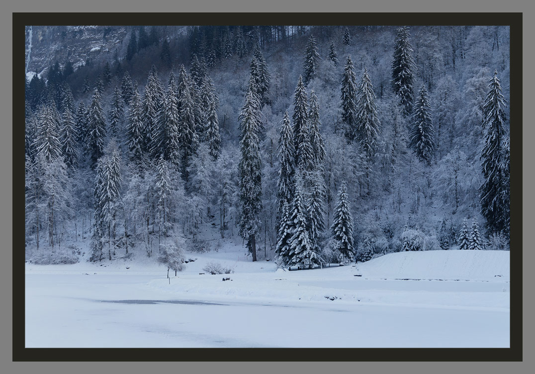 Lac de Montriond en hiver, les plus belles photos du photographes Christophe Bourreau