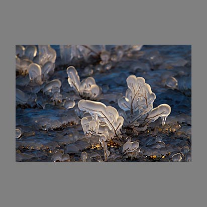Lac Léman sous la glace - Photo Christophe Bourreau