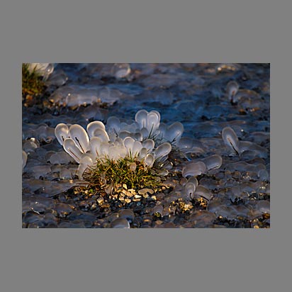 Lac Léman sous la glace - Photo Christophe Bourreau